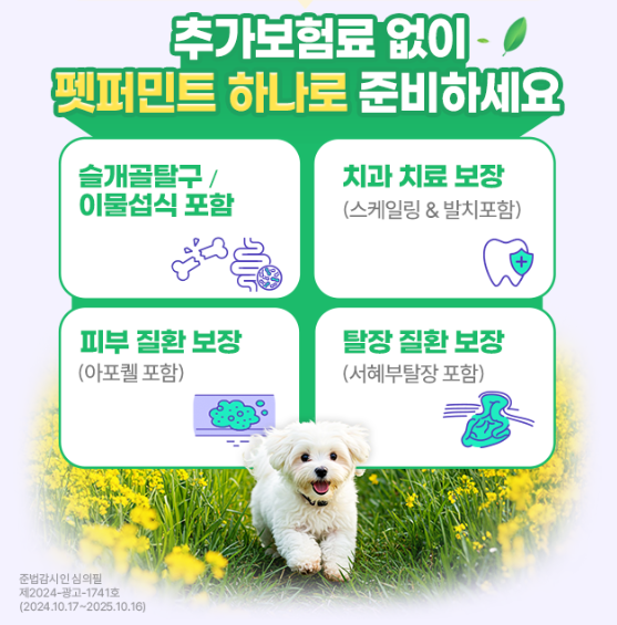 메리츠화재 '펫퍼민트 Puppy(Cat) & Family'