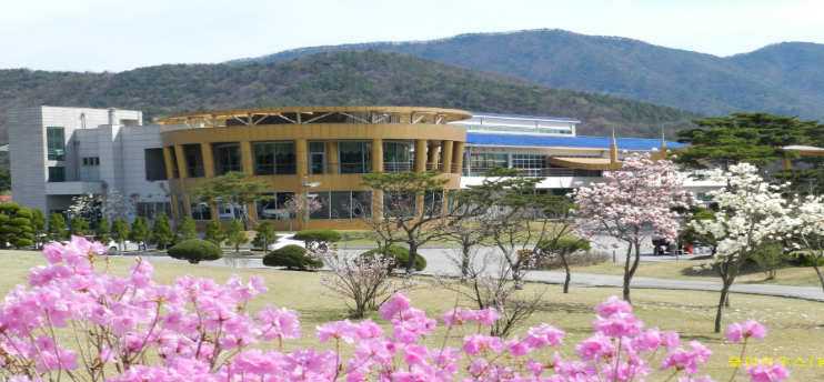 구룡대 육군체력단련장 시설 